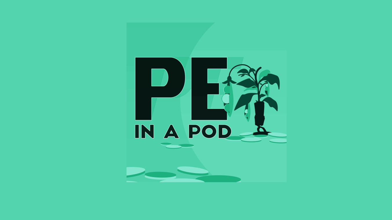 Newcore Capital’s CEO features on PE in a Pod – The case for socially responsible infrastructure investment